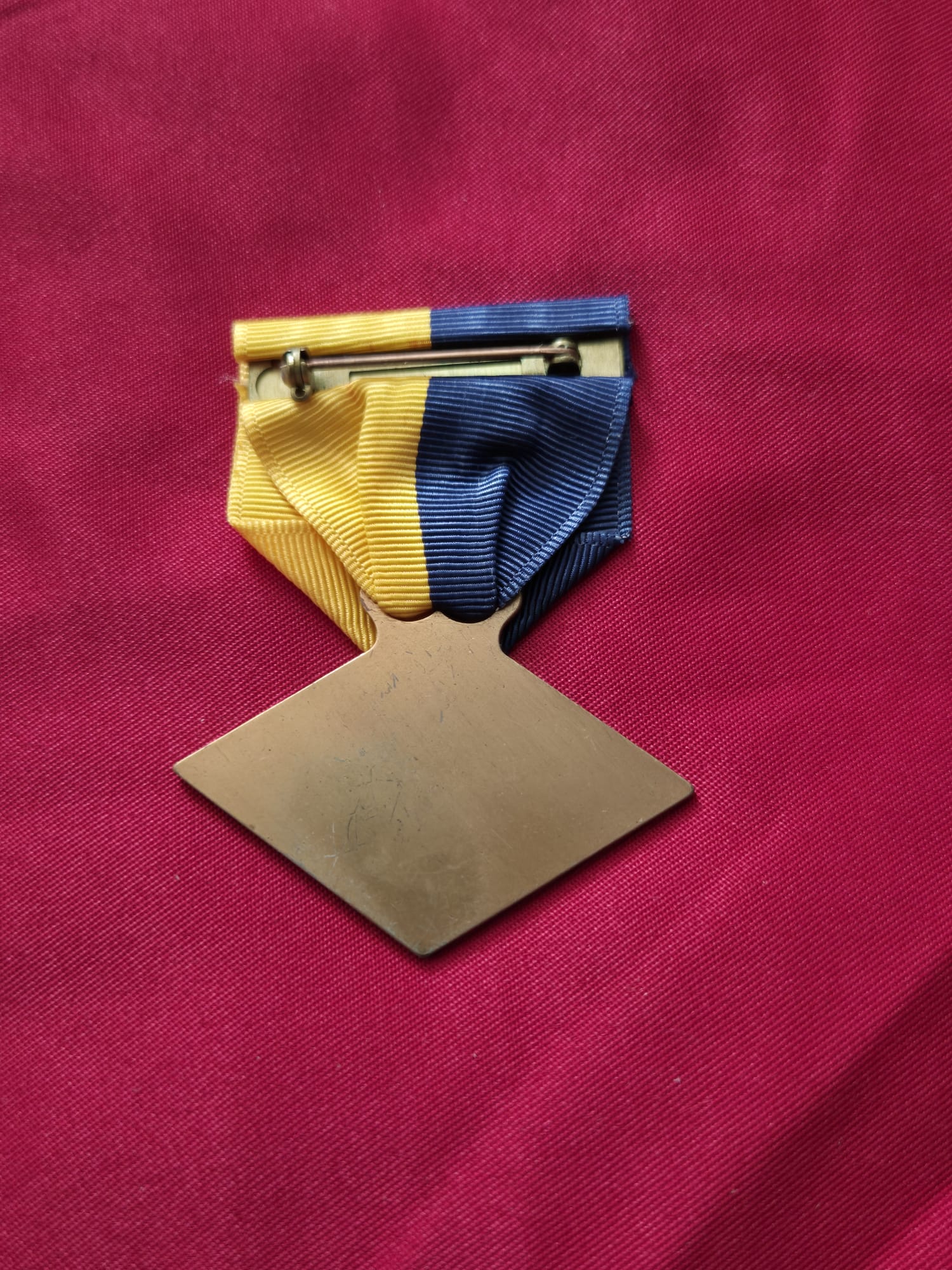 Delaware State Service Medal with enameled coat of arms and figures. - Image 2