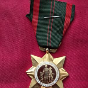 Republic of Vietnam Civil Actions Medal with green and red ribbon.