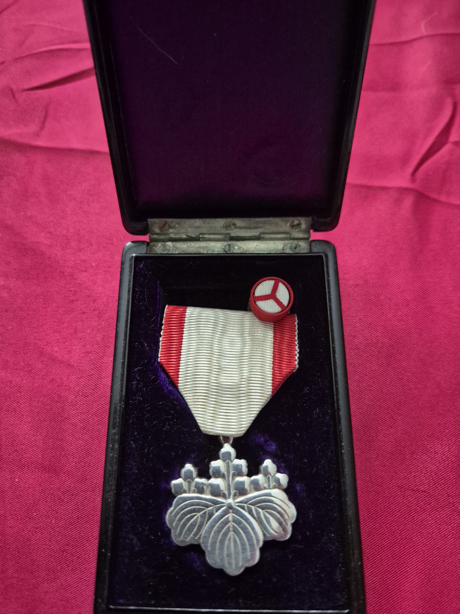 Japanese Order of the Rising Sun, 8th Class medal in presentation case.